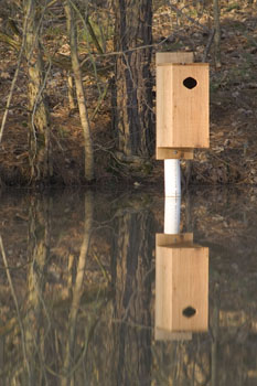 Restauration d'habitats fauniques