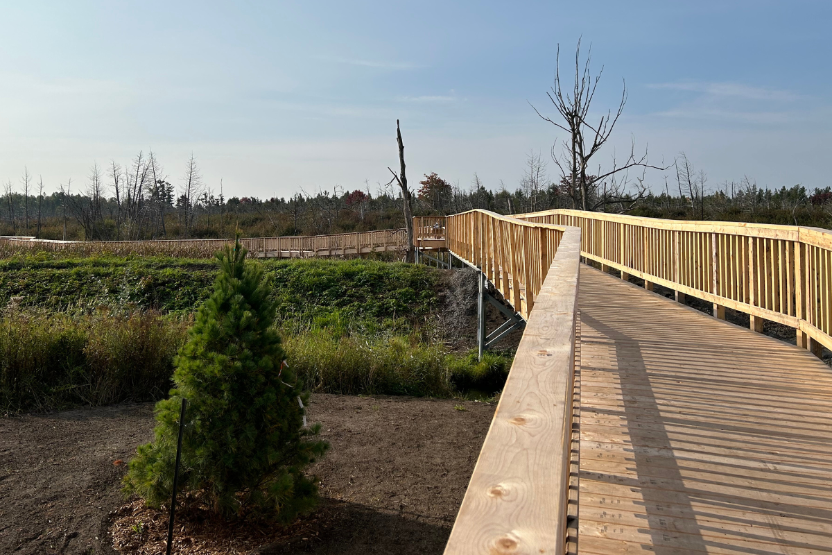 Findlay Creek Boardwalk