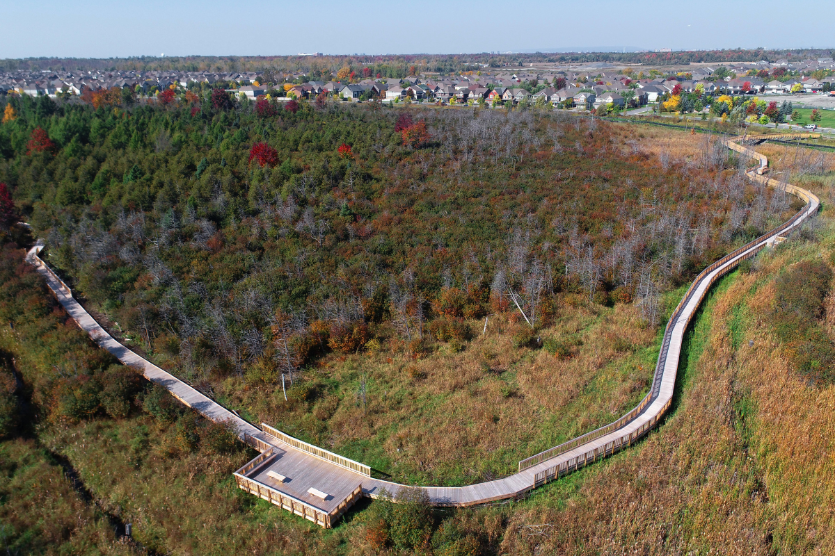 Findlay Creek Boardwalk