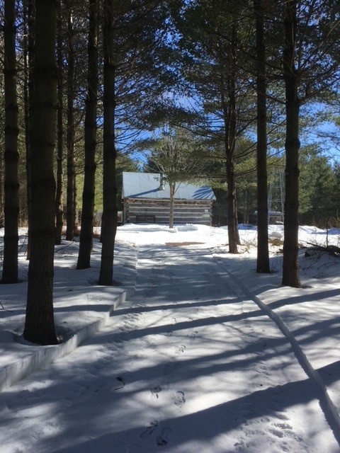 Velema Cabin in the woods